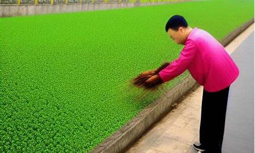 温州花生投资操作建议（花生期货喊单直播间）_https://www.czxymm.com_股指期货_第1张