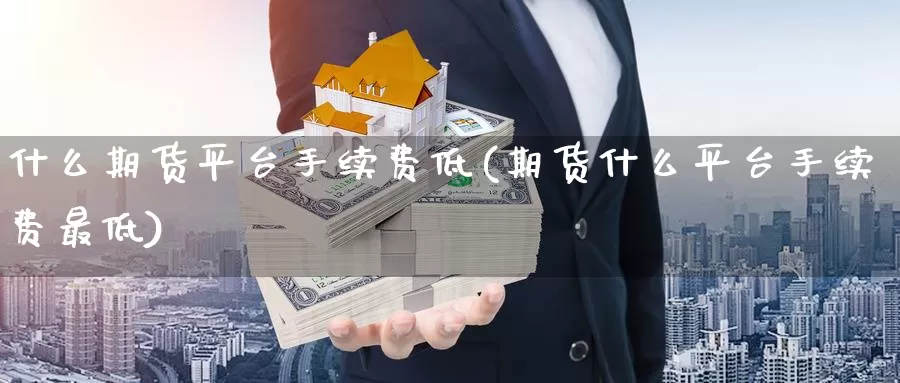 什么期货平台手续费低(期货什么平台手续费最低)_https://www.czxymm.com_技术分析_第1张