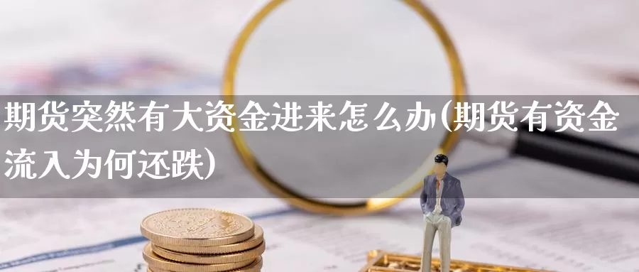 期货突然有大资金进来怎么办(期货有资金流入为何还跌)_https://www.czxymm.com_技术分析_第1张