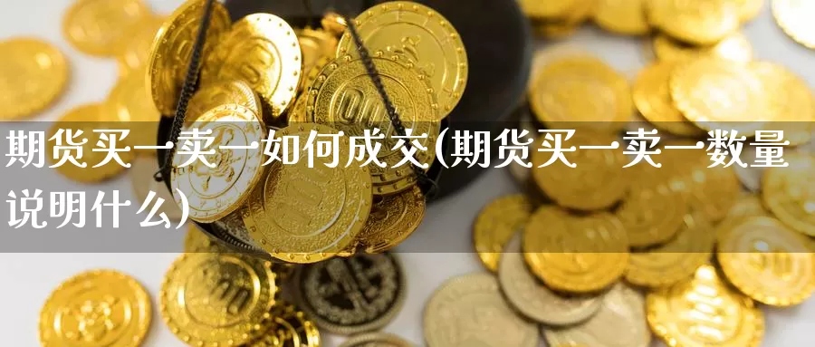 期货买一卖一如何成交(期货买一卖一数量说明什么)_https://www.czxymm.com_行业分析_第1张