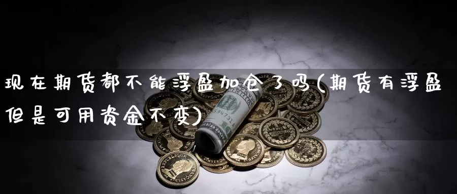 现在期货都不能浮盈加仓了吗(期货有浮盈但是可用资金不变)_https://www.czxymm.com_原油期货_第1张