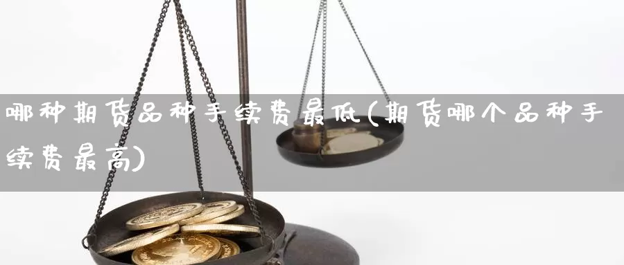 哪种期货品种手续费最低(期货哪个品种手续费最高)_https://www.czxymm.com_期货科普_第1张