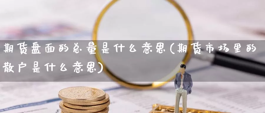 期货盘面的总量是什么意思(期货市场里的散户是什么意思)_https://www.czxymm.com_股指期货_第1张