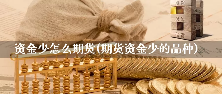 资金少怎么期货(期货资金少的品种)_https://www.czxymm.com_股指期货_第1张