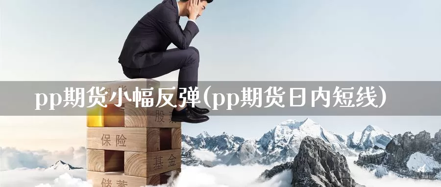 pp期货小幅反弹(pp期货日内短线)_https://www.czxymm.com_行业分析_第1张