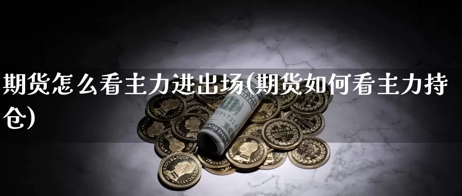 期货怎么看主力进出场(期货如何看主力持仓)_https://www.czxymm.com_外盘期货_第1张