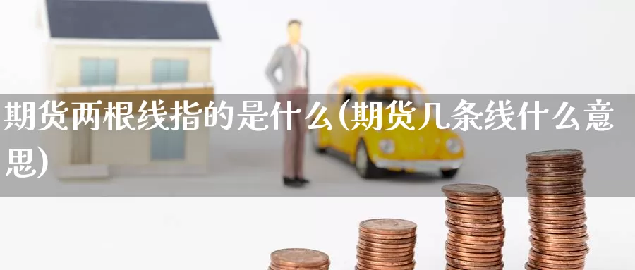 期货两根线指的是什么(期货几条线什么意思)_https://www.czxymm.com_行业分析_第1张