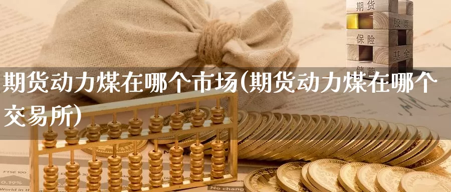 期货动力煤在哪个市场(期货动力煤在哪个交易所)_https://www.czxymm.com_行业分析_第1张