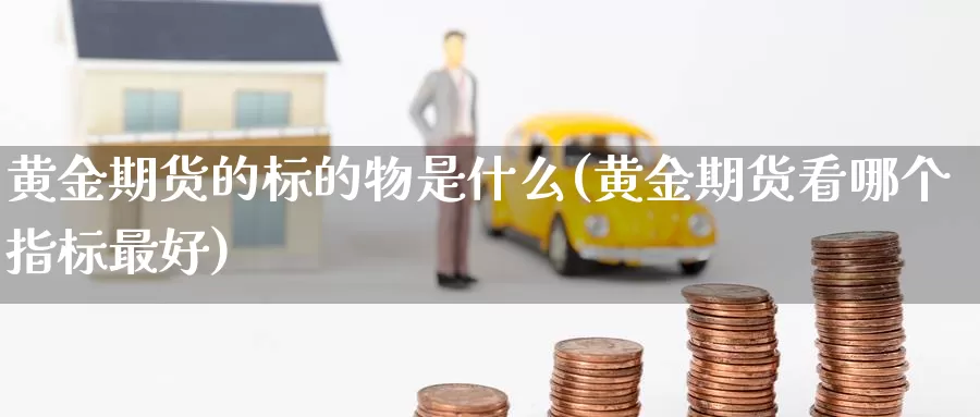 黄金期货的标的物是什么(黄金期货看哪个指标最好)_https://www.czxymm.com_黄金期货_第1张