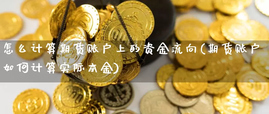 怎么计算期货账户上的资金流向(期货账户如何计算实际本金)_https://www.czxymm.com_农产品期货_第1张