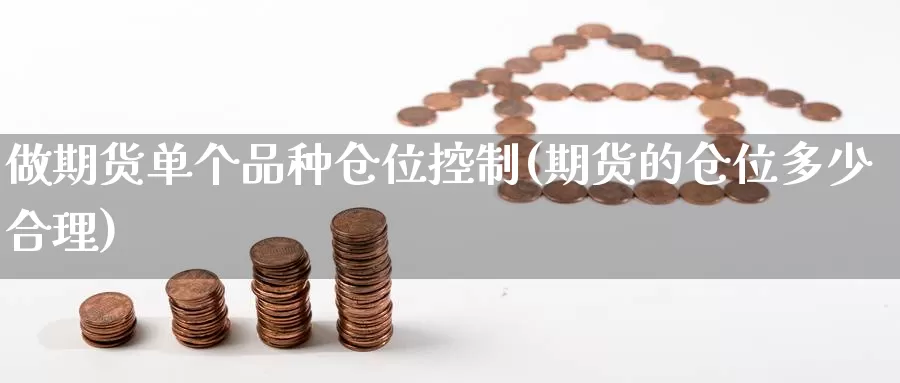 做期货单个品种仓位控制(期货的仓位多少合理)_https://www.czxymm.com_农产品期货_第1张