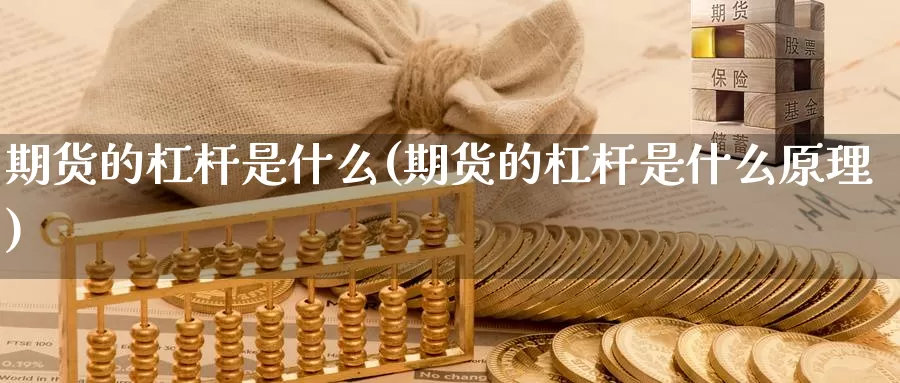 期货的杠杆是什么(期货的杠杆是什么原理)_https://www.czxymm.com_外盘期货_第1张