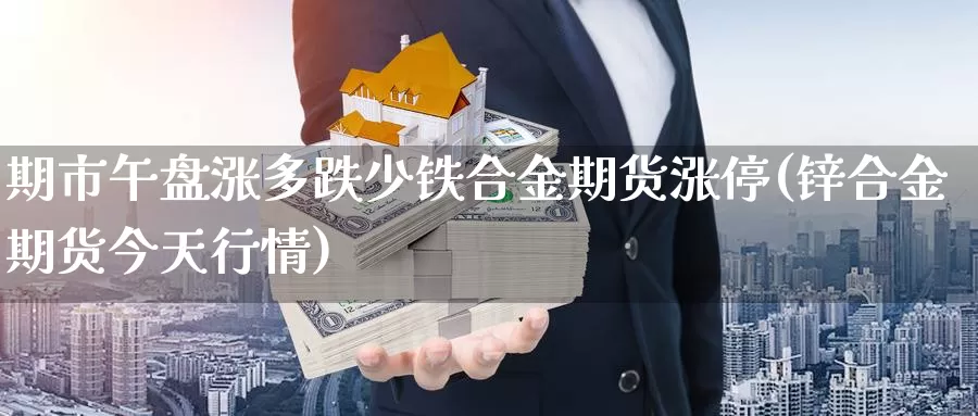 期市午盘涨多跌少铁合金期货涨停(锌合金期货今天行情)_https://www.czxymm.com_行业分析_第1张