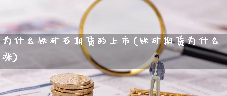 为什么铁矿石期货的上市(铁矿期货为什么涨)_https://www.czxymm.com_基本面分析_第1张