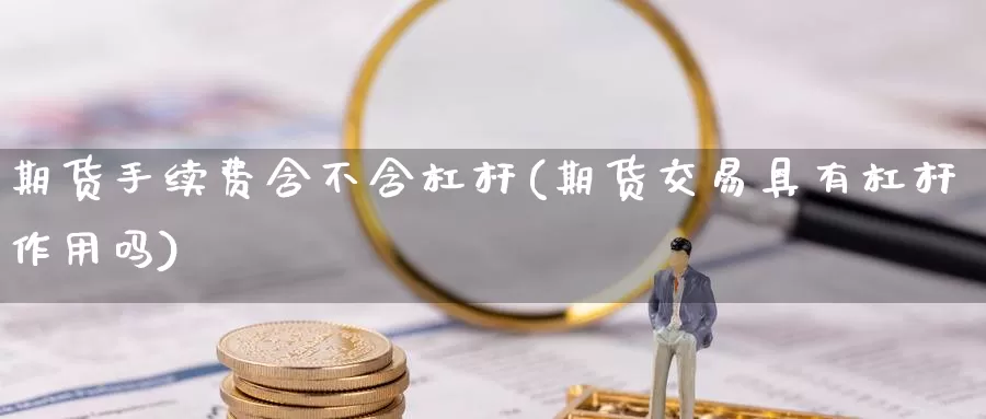 期货手续费含不含杠杆(期货交易具有杠杆作用吗)_https://www.czxymm.com_期货科普_第1张