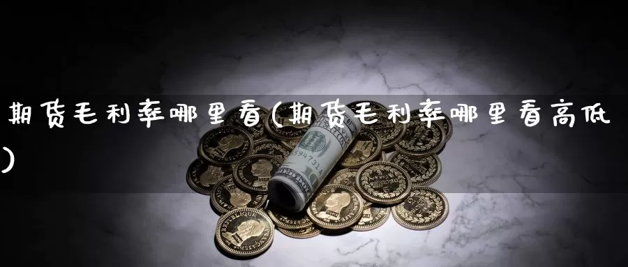 期货毛利率哪里看(期货毛利率哪里看高低)_https://www.czxymm.com_黄金期货_第1张