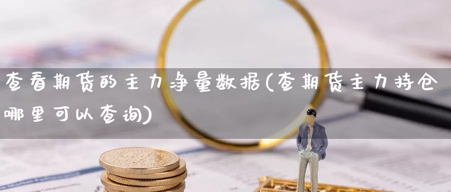 查看期货的主力净量数据(查期货主力持仓哪里可以查询)_https://www.czxymm.com_股指期货_第1张