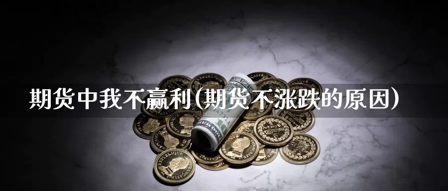 期货中我不赢利(期货不涨跌的原因)_https://www.czxymm.com_原油期货_第1张