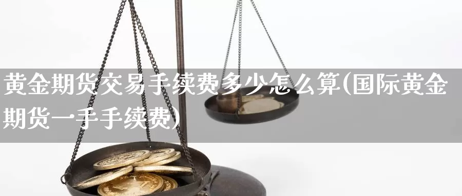 黄金期货交易手续费多少怎么算(国际黄金期货一手手续费)_https://www.czxymm.com_基本面分析_第1张