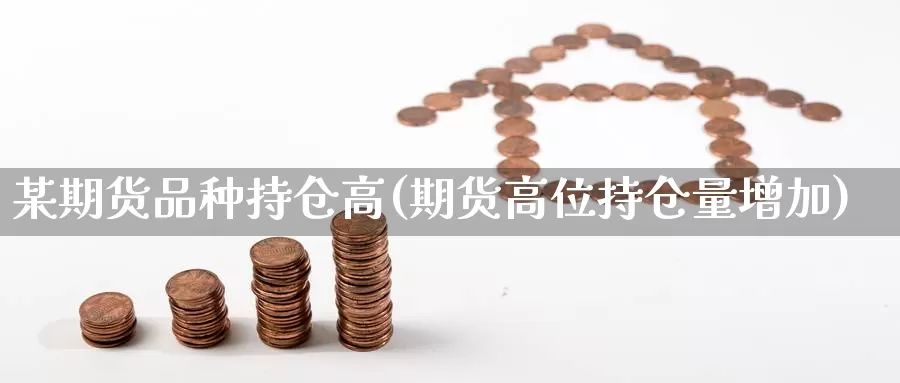 某期货品种持仓高(期货高位持仓量增加)_https://www.czxymm.com_期货科普_第1张