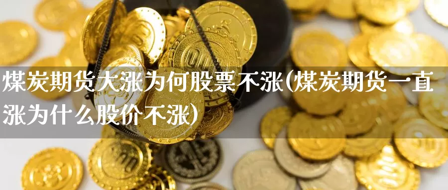 煤炭期货大涨为何股票不涨(煤炭期货一直涨为什么股价不涨)_https://www.czxymm.com_股指期货_第1张