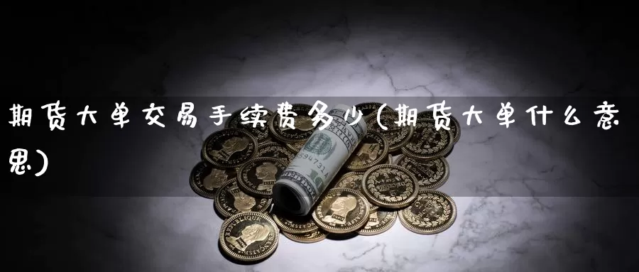 期货大单交易手续费多少(期货大单什么意思)_https://www.czxymm.com_基本面分析_第1张