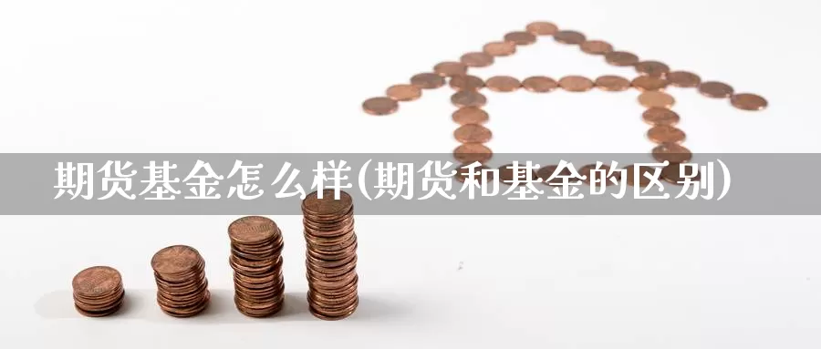 期货基金怎么样(期货和基金的区别)_https://www.czxymm.com_股指期货_第1张