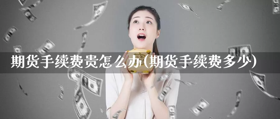 期货手续费贵怎么办(期货手续费多少)_https://www.czxymm.com_股指期货_第1张