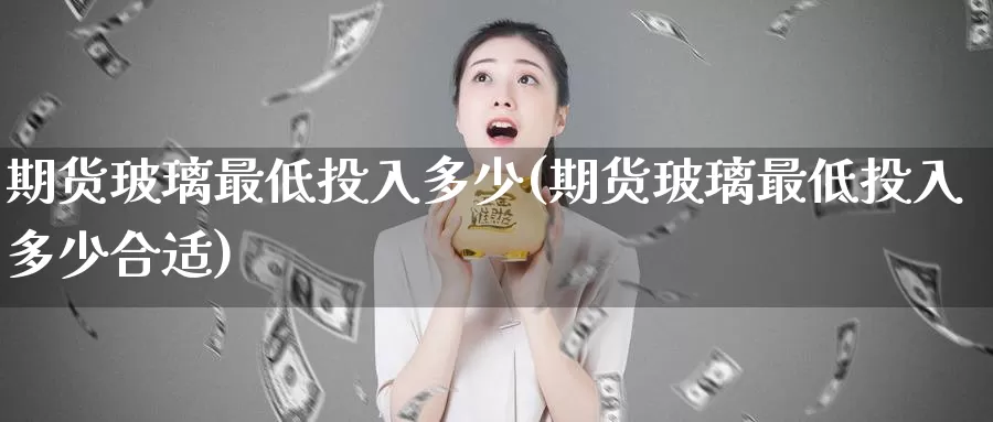 期货玻璃最低投入多少(期货玻璃最低投入多少合适)_https://www.czxymm.com_外盘期货_第1张