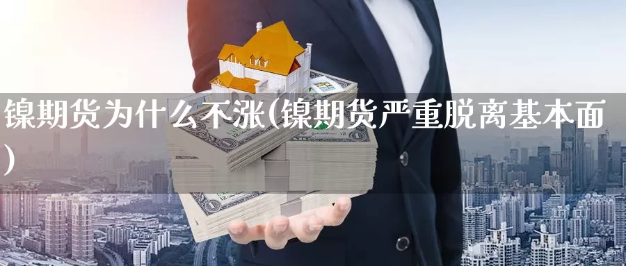 镍期货为什么不涨(镍期货严重脱离基本面)_https://www.czxymm.com_股指期货_第1张